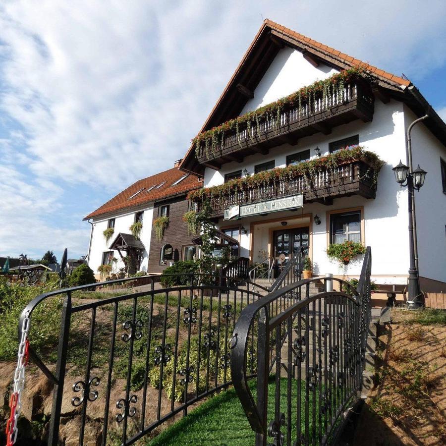 Hotel-Pension Flechsig Hartmannsdorf bei Kirchberg Luaran gambar